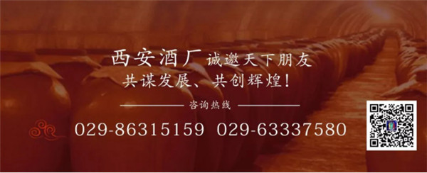 西安酒廠 _ 在探索中成長，在合作中共贏551.jpg